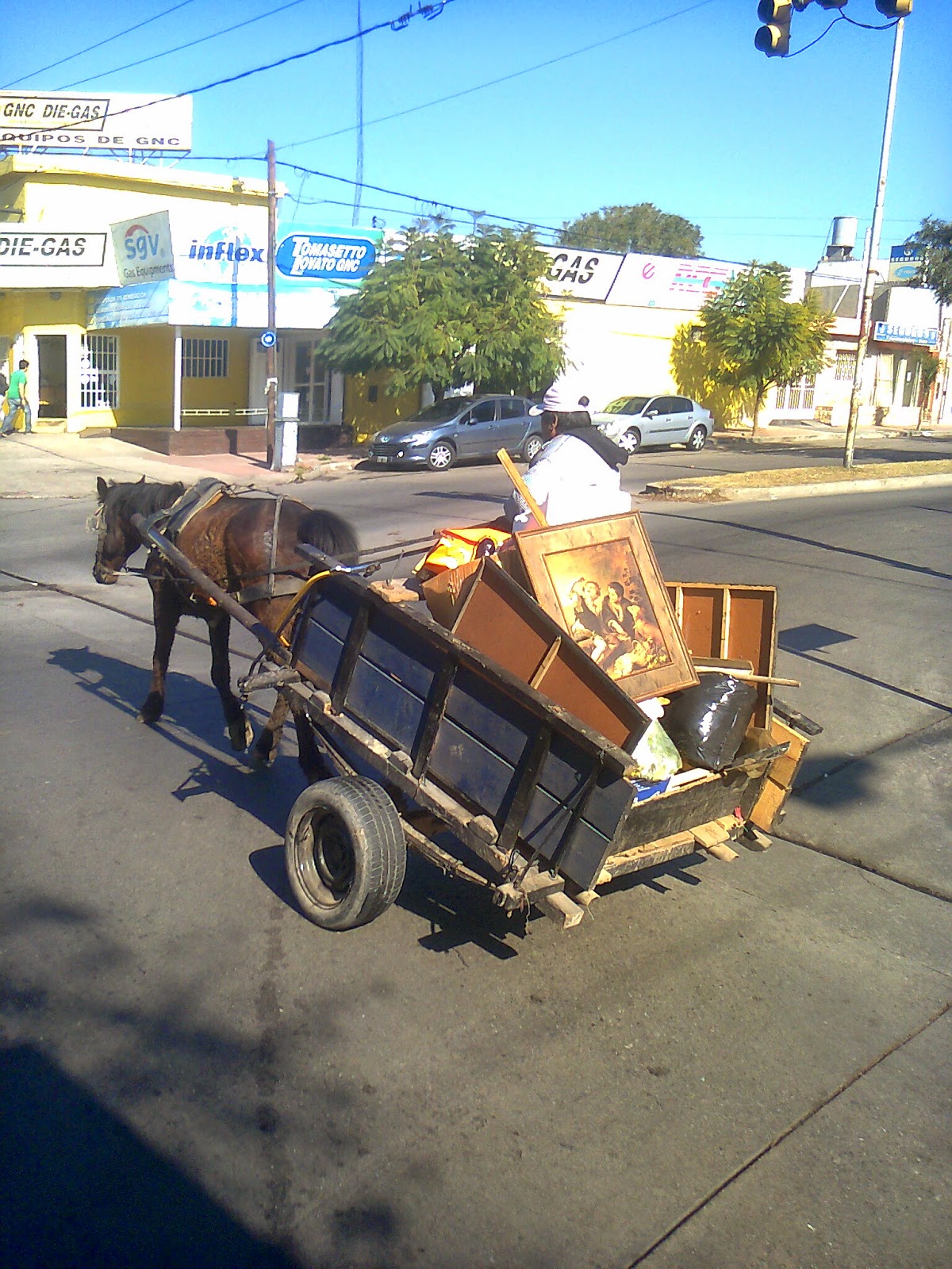 Pegaso el cartonero y los angelitos culones